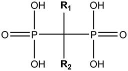 A Review Into the Effects of Pamidronic Acid and Zoledronic Acid on the Oral Mucosa in Medication-Related Osteonecrosis of the Jaw